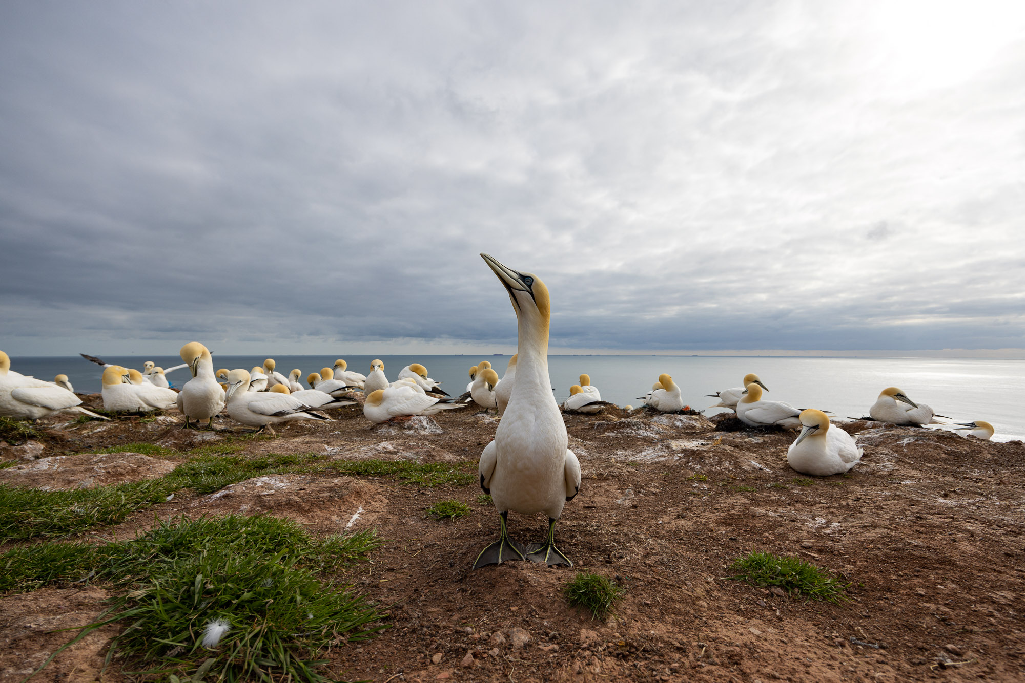 Helgoland v2 0019