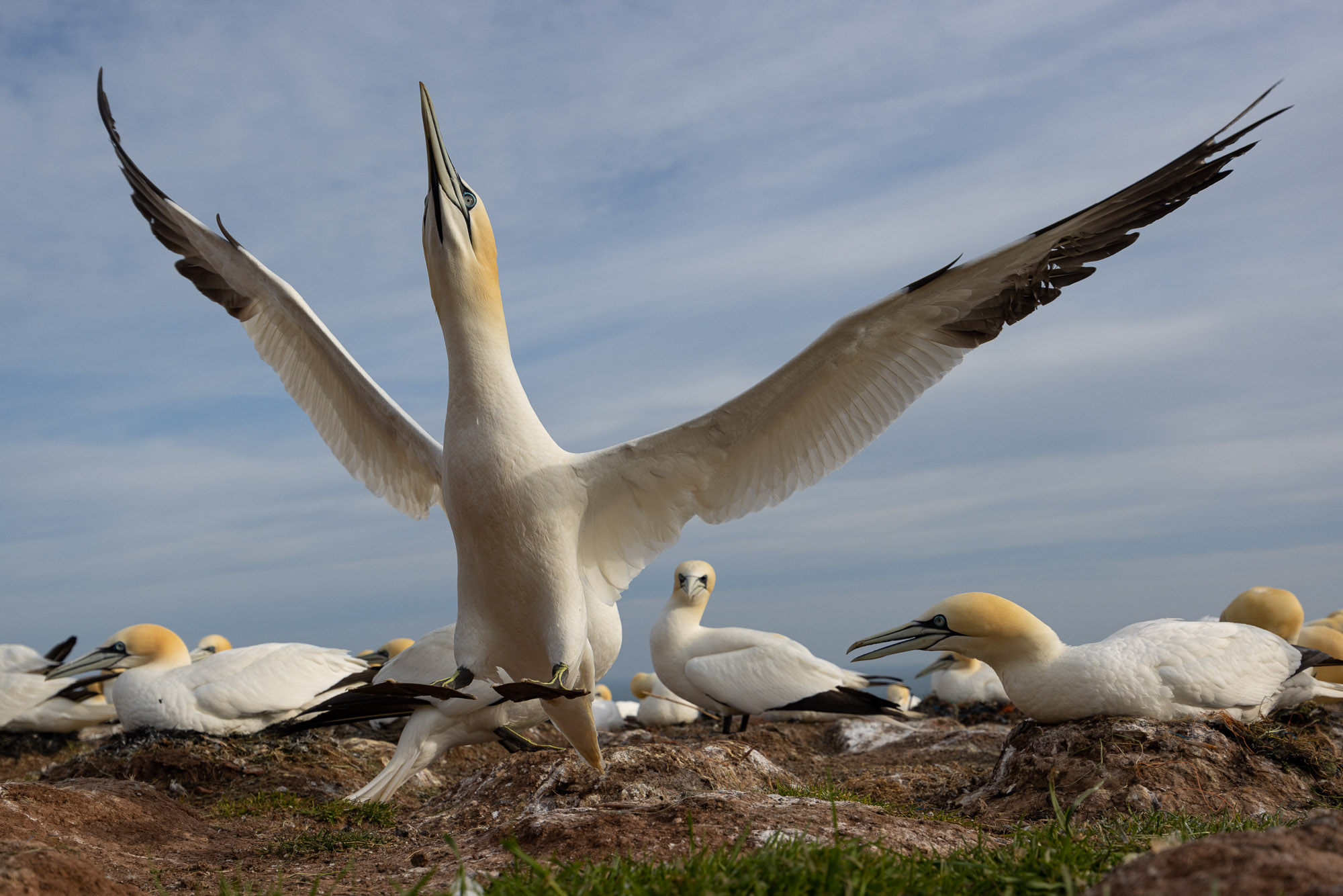 Helgoland v2 0041