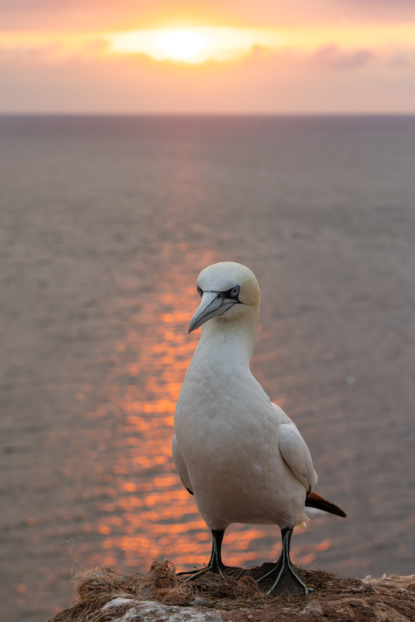 Helgoland v2 0069
